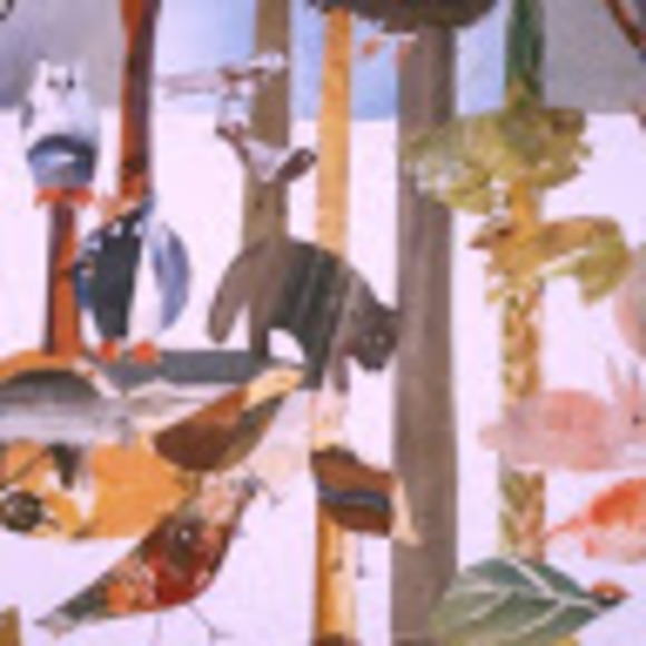 Meet your Posher, Casey - Picture 1 of 1